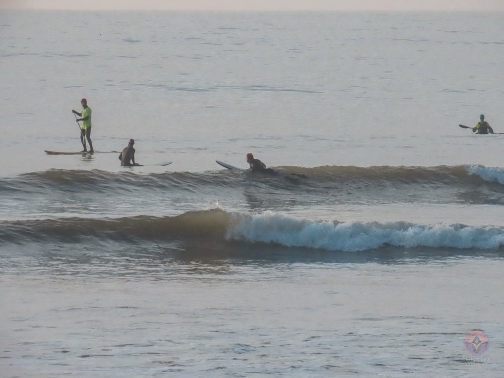 Surf Captures: 2024.12.08 Bolinas, California, USA