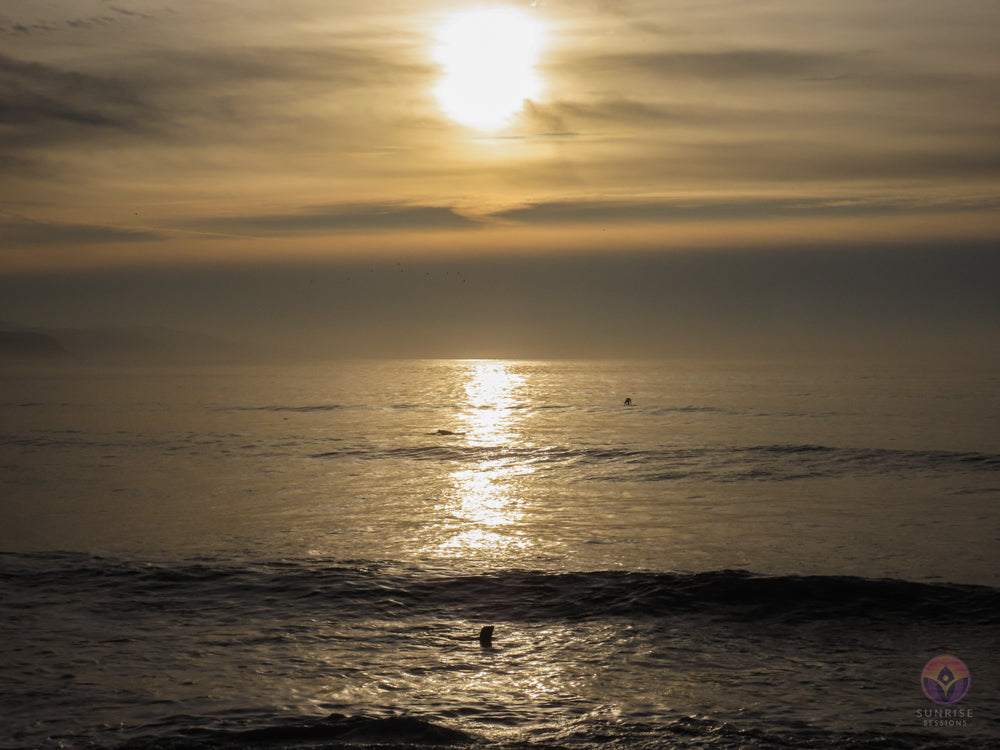 Surf Captures: 2024.12.08 Bolinas, California, USA