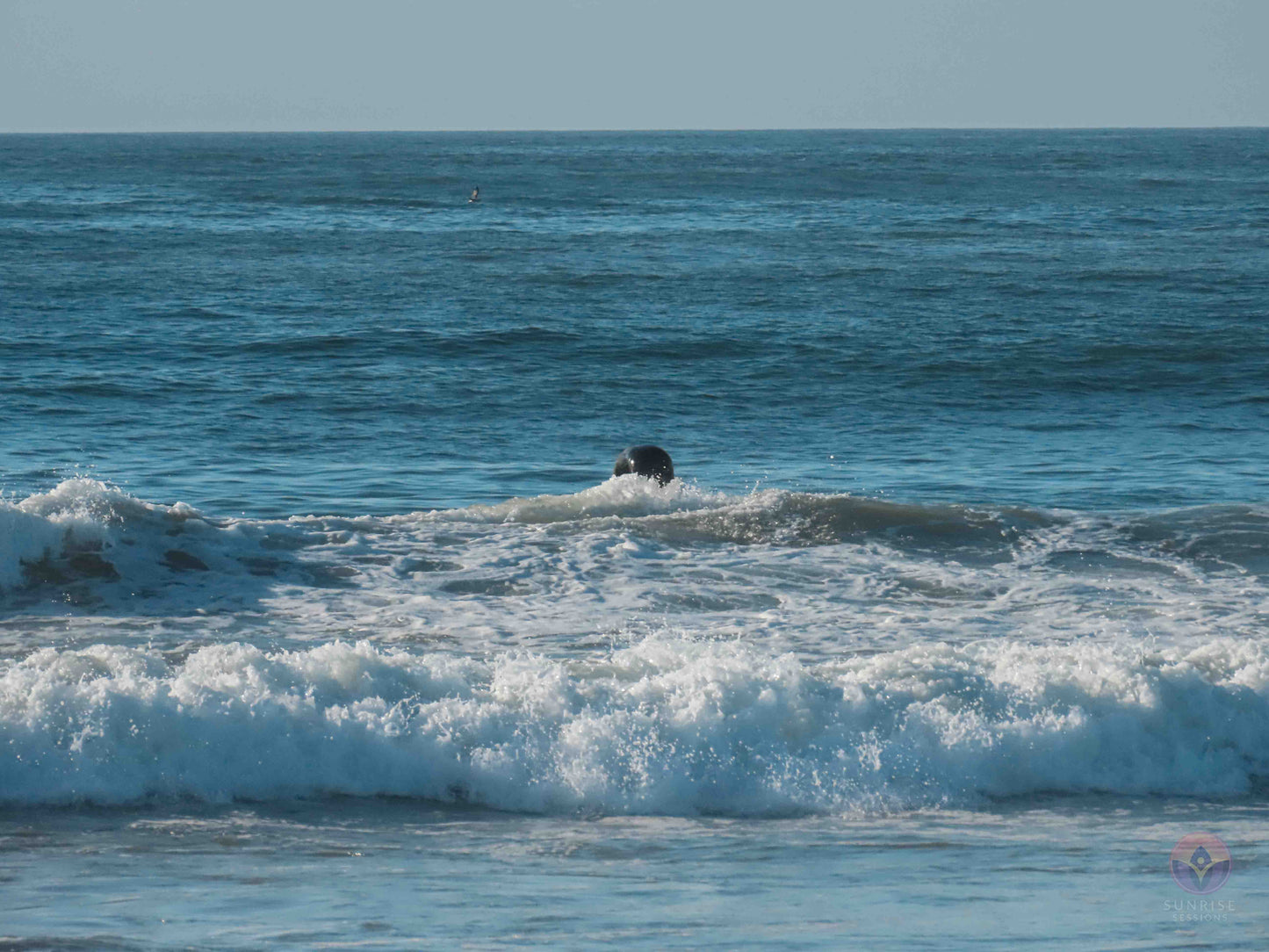 Surf Captures: 2024.12.17 Ocean Beach, California, USA