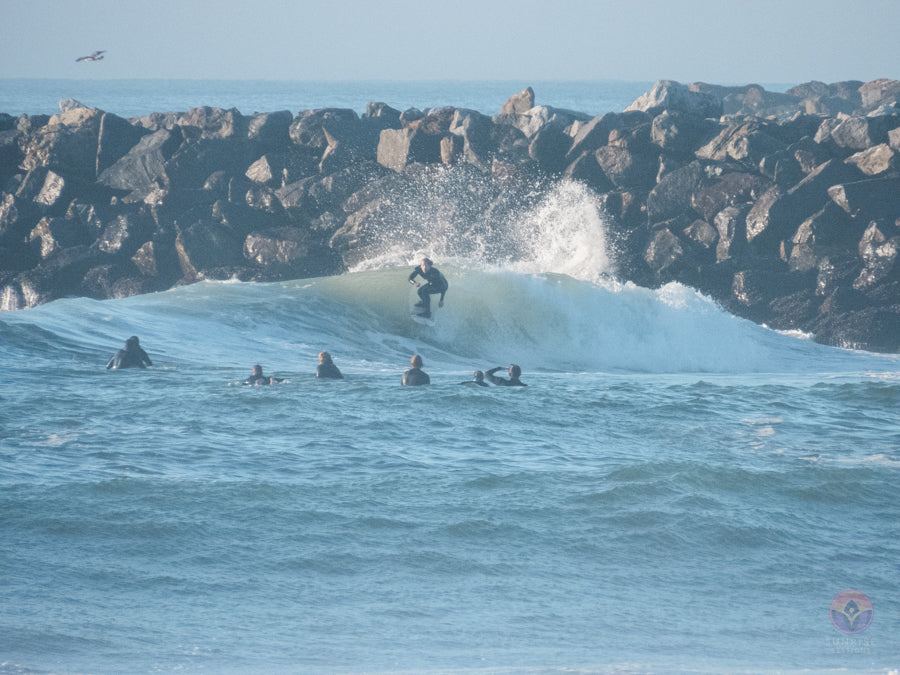 Surf Captures: 2024.12.18 Dog Beach, Ocean Beach, California
