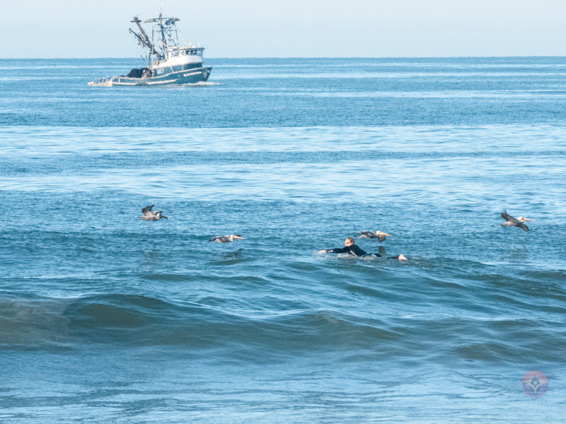 Surf Captures: 2025.01.02 Ventura, California