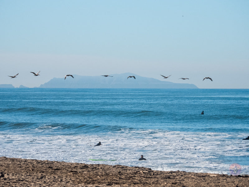 Surf Captures: 2025.01.02 Ventura, California