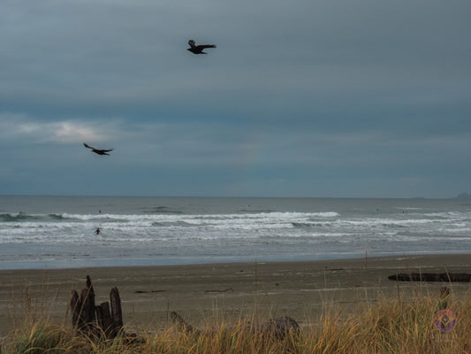 Surf Captures:  2024.11.24 Wickaninnish, Tofino, Canada