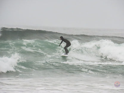 Surf Captures:  2024.11.30 Cox Bay, Tofino, Canada (WCS Demo Day)