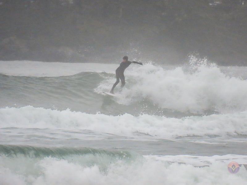 Surf Captures:  2024.11.30 Cox Bay, Tofino, Canada (WCS Demo Day)