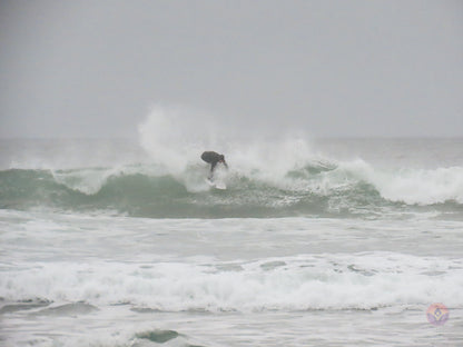 Surf Captures:  2024.11.30 Cox Bay, Tofino, Canada (WCS Demo Day)