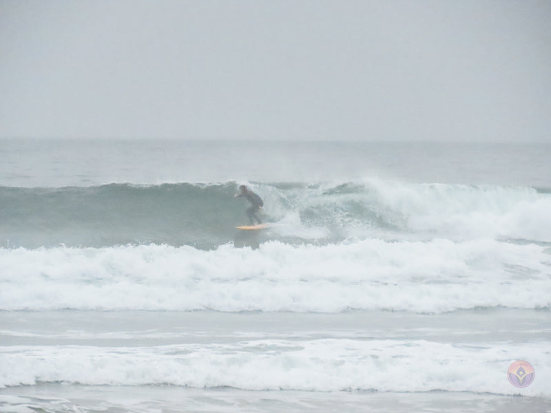 Surf Captures:  2024.11.30 Cox Bay, Tofino, Canada (WCS Demo Day)