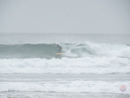Surf Captures:  2024.11.30 Cox Bay, Tofino, Canada (WCS Demo Day)