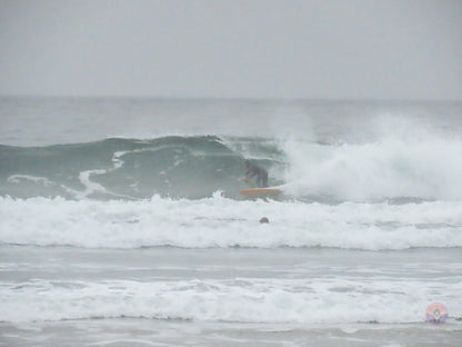 Surf Captures:  2024.11.30 Cox Bay, Tofino, Canada (WCS Demo Day)