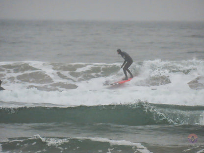 Surf Captures:  2024.11.30 Cox Bay, Tofino, Canada (WCS Demo Day)