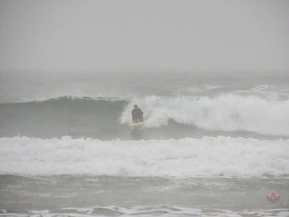 Surf Captures:  2024.11.30 Cox Bay, Tofino, Canada (WCS Demo Day)