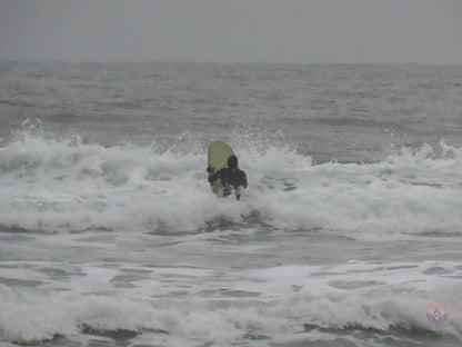 Surf Captures:  2024.11.30 Cox Bay, Tofino, Canada (WCS Demo Day)