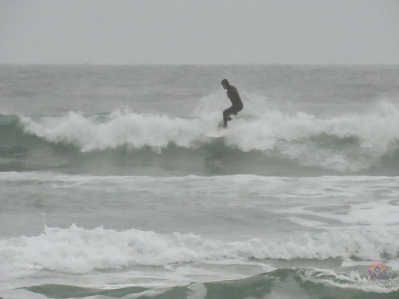 Surf Captures:  2024.11.30 Cox Bay, Tofino, Canada (WCS Demo Day)