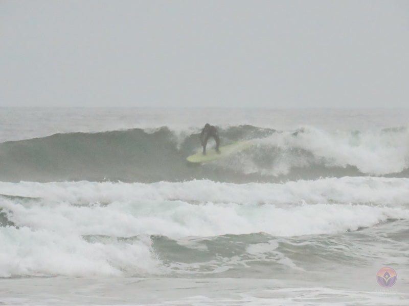 Surf Captures:  2024.11.30 Cox Bay, Tofino, Canada (WCS Demo Day)
