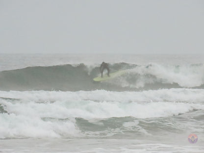 Surf Captures:  2024.11.30 Cox Bay, Tofino, Canada (WCS Demo Day)