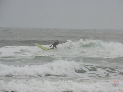 Surf Captures:  2024.11.30 Cox Bay, Tofino, Canada (WCS Demo Day)