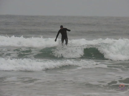 Surf Captures:  2024.11.30 Cox Bay, Tofino, Canada (WCS Demo Day)