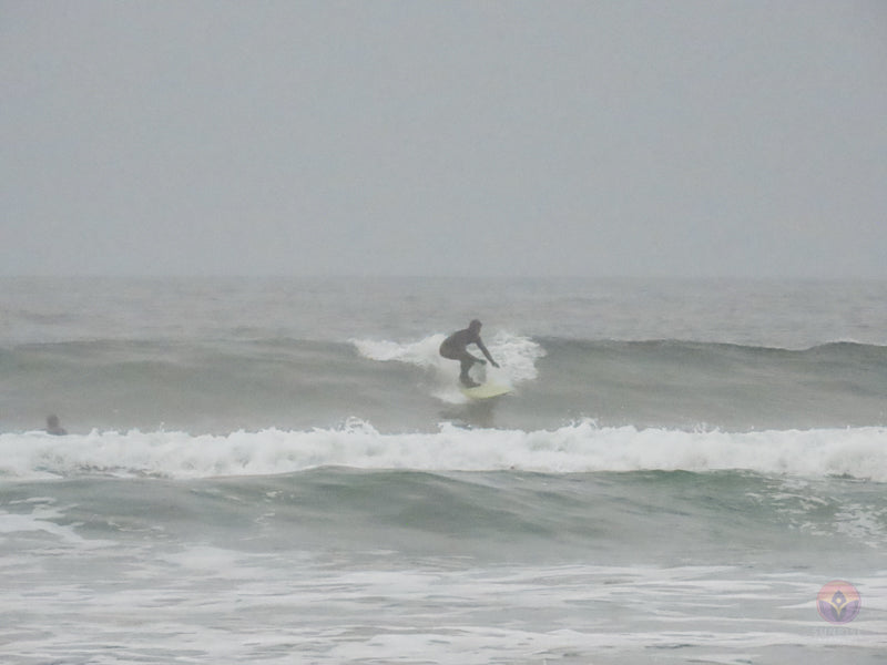 Surf Captures:  2024.11.30 Cox Bay, Tofino, Canada (WCS Demo Day)