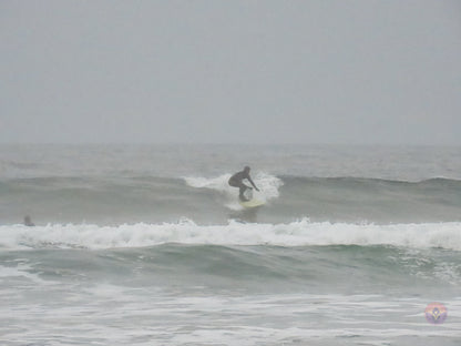 Surf Captures:  2024.11.30 Cox Bay, Tofino, Canada (WCS Demo Day)