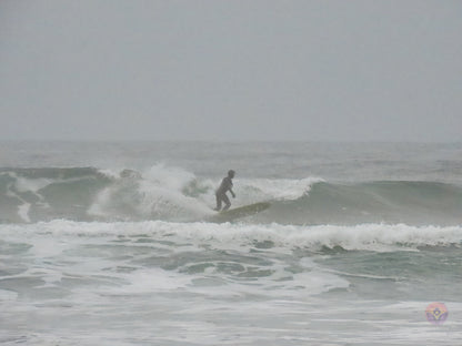 Surf Captures:  2024.11.30 Cox Bay, Tofino, Canada (WCS Demo Day)