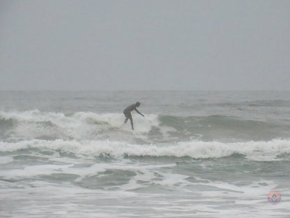Surf Captures:  2024.11.30 Cox Bay, Tofino, Canada (WCS Demo Day)