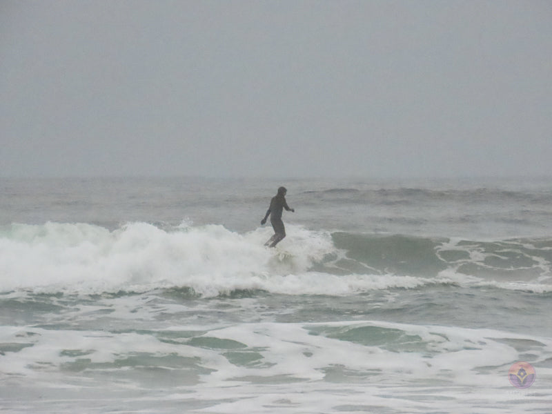 Surf Captures:  2024.11.30 Cox Bay, Tofino, Canada (WCS Demo Day)