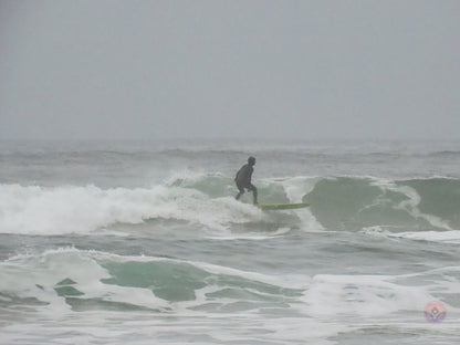 Surf Captures:  2024.11.30 Cox Bay, Tofino, Canada (WCS Demo Day)