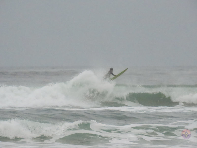 Surf Captures:  2024.11.30 Cox Bay, Tofino, Canada (WCS Demo Day)