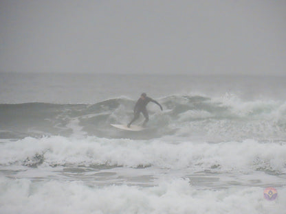 Surf Captures:  2024.11.30 Cox Bay, Tofino, Canada (WCS Demo Day)