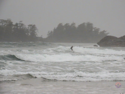 Surf Captures:  2024.11.30 Cox Bay, Tofino, Canada (WCS Demo Day)