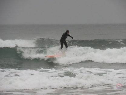 Surf Captures:  2024.11.30 Cox Bay, Tofino, Canada (WCS Demo Day)