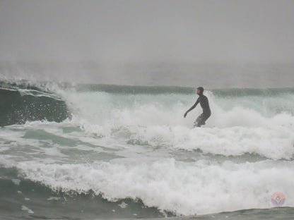 Surf Captures:  2024.11.30 Cox Bay, Tofino, Canada (WCS Demo Day)