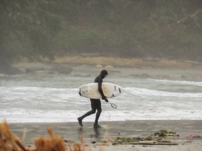 Surf Captures:  2024.11.30 Cox Bay, Tofino, Canada (WCS Demo Day)