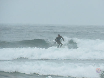 Surf Captures:  2024.11.30 Cox Bay, Tofino, Canada (WCS Demo Day)