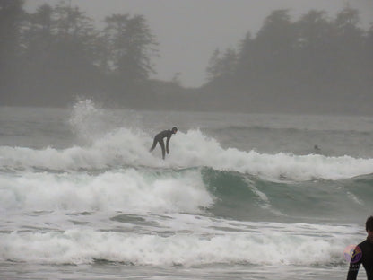 Surf Captures:  2024.11.30 Cox Bay, Tofino, Canada (WCS Demo Day)