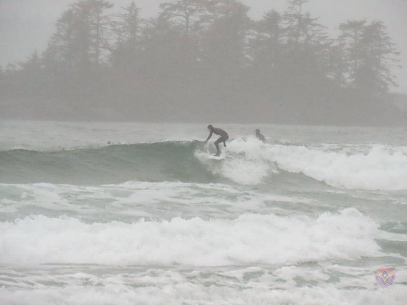 Surf Captures:  2024.11.30 Cox Bay, Tofino, Canada (WCS Demo Day)