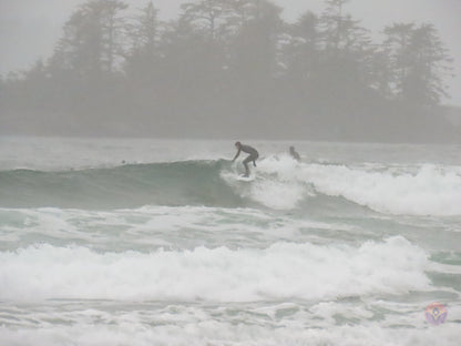 Surf Captures:  2024.11.30 Cox Bay, Tofino, Canada (WCS Demo Day)