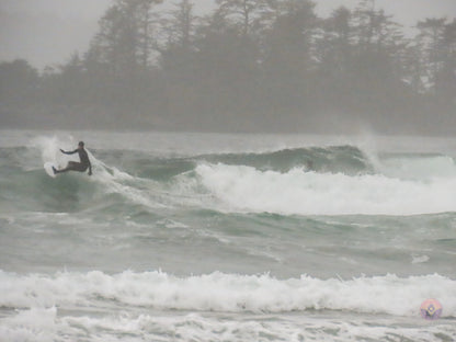 Surf Captures:  2024.11.30 Cox Bay, Tofino, Canada (WCS Demo Day)
