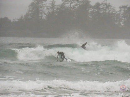 Surf Captures:  2024.11.30 Cox Bay, Tofino, Canada (WCS Demo Day)