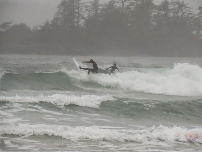 Surf Captures:  2024.11.30 Cox Bay, Tofino, Canada (WCS Demo Day)