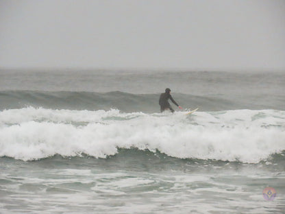 Surf Captures:  2024.11.30 Cox Bay, Tofino, Canada (WCS Demo Day)