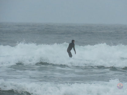 Surf Captures:  2024.11.30 Cox Bay, Tofino, Canada (WCS Demo Day)