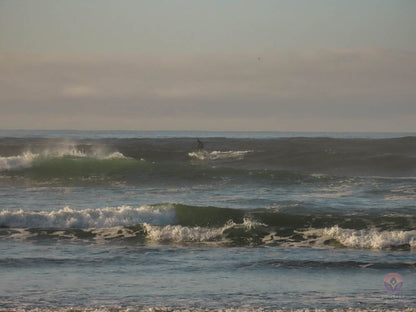 Surf Captures:  2024.12.01 Wickaninnish, Tofino, Canada