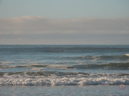 Surf Captures:  2024.12.01 Wickaninnish, Tofino, Canada