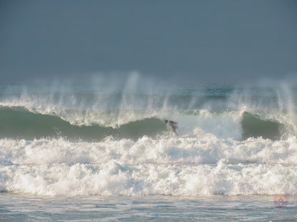 Surf Captures:  2024.12.02 Cox Bay, Tofino, Canada