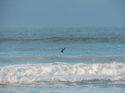 Surf Captures:  2024.12.02 Cox Bay, Tofino, Canada