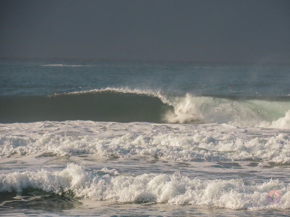 Surf Captures:  2024.12.02 Cox Bay, Tofino, Canada