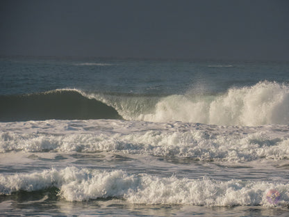 Surf Captures:  2024.12.02 Cox Bay, Tofino, Canada