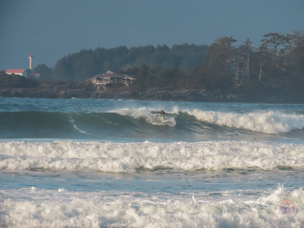 Surf Captures:  2024.12.02 Cox Bay, Tofino, Canada