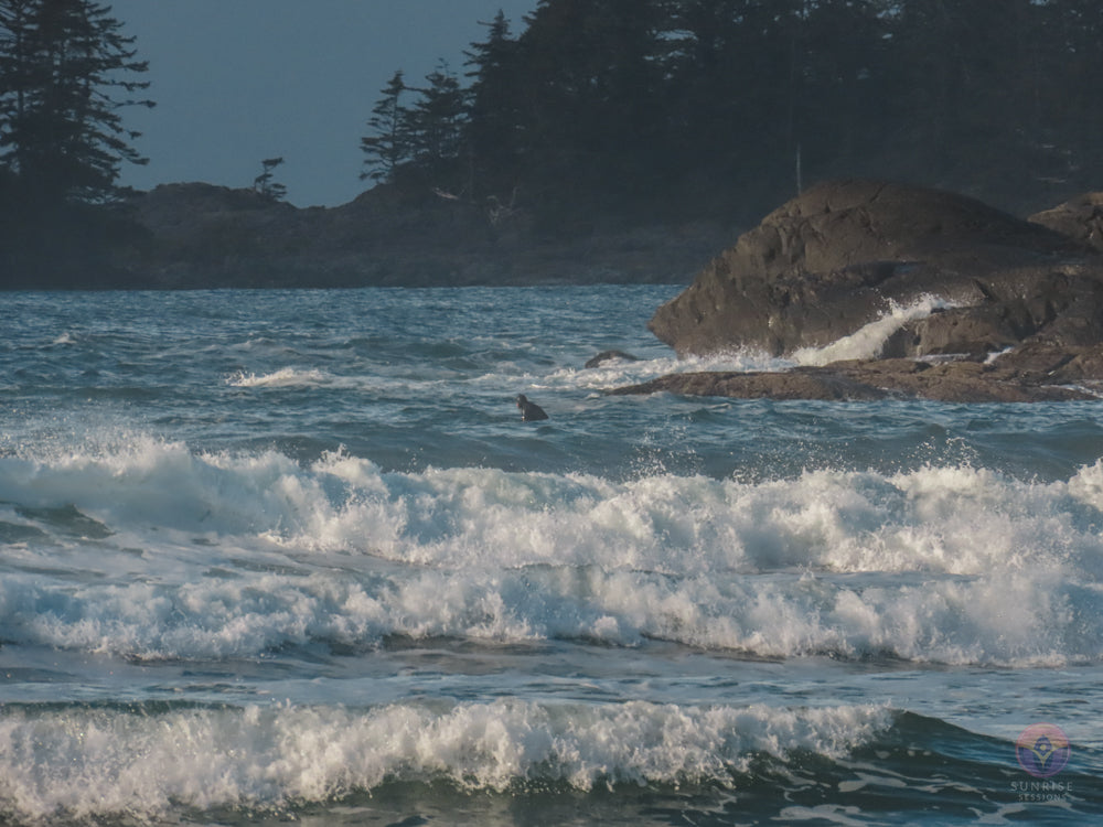 Surf Captures:  2024.12.02 Cox Bay, Tofino, Canada